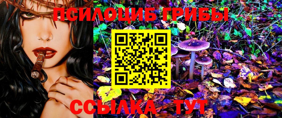 Красноуфимск  Псилоцибиновые грибы Psilocybe  Вход с VPN 